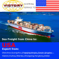 Грузовой агент/Доставка грузов/морские перевозки из Китая по всему миру
